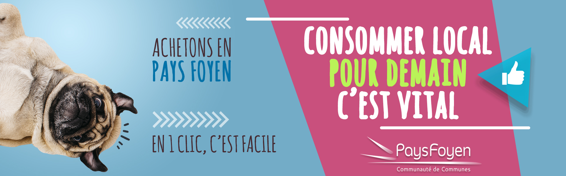 Logo de Pays Foyen